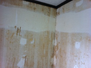 201201026i 004
