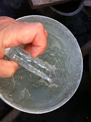 20120203i 022