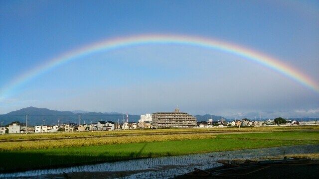夏休みの自由研究
