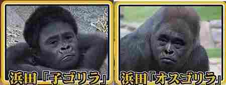 原因、遺伝