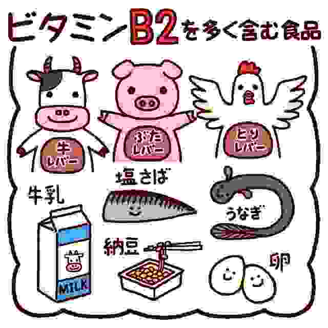 口内炎の治し方、ビタミンB2