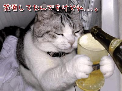 治療にはお酒を控える