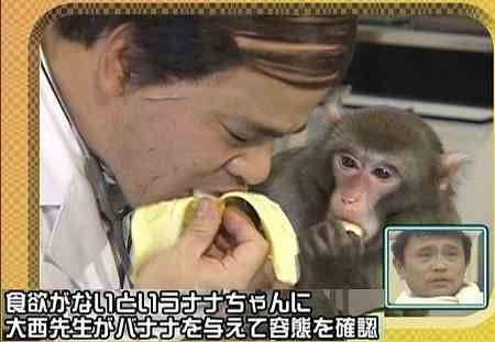 ヘルパンギーナ