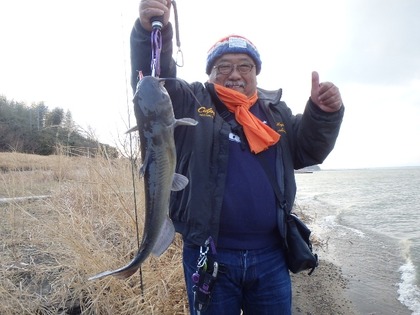 1698-5catfish02