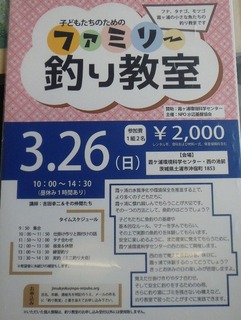 1681-5flier