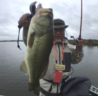 1629-3bass