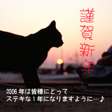 96b810f4.jpg