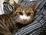 f8399305.jpg