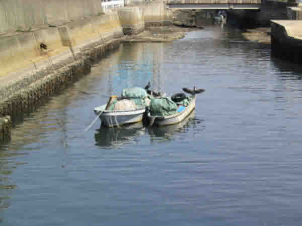 image0003
