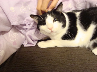 DSC08479
