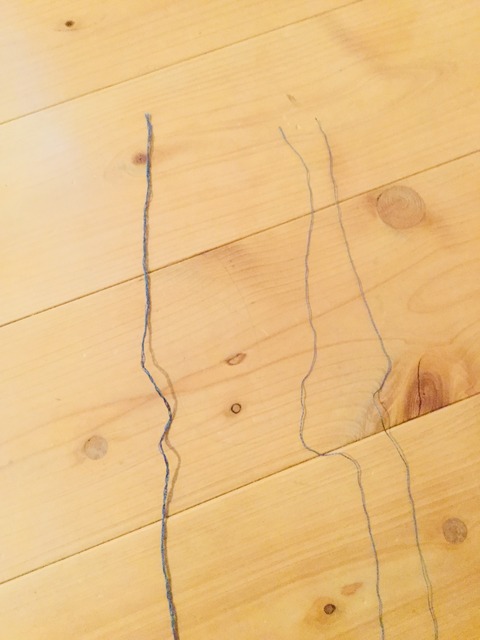 刺繍糸を2本並べたところ