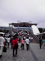7f07f425.jpg