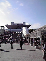 a02dece6.jpg