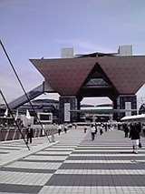 dcc62154.jpg
