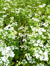 IMG_20170524_182550