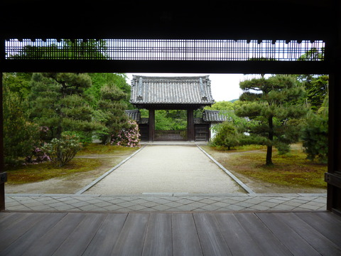 P1050652