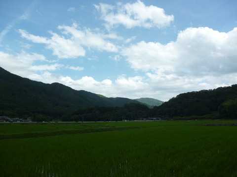 P1080947