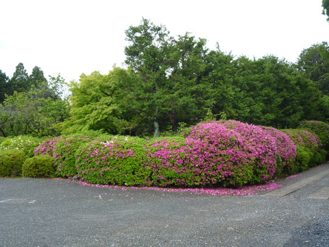 P1050646