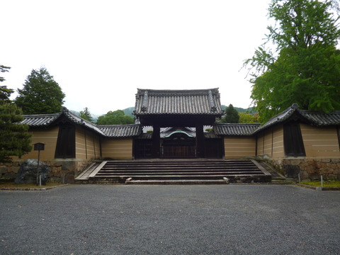 P1050655
