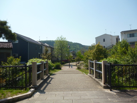 P1050531