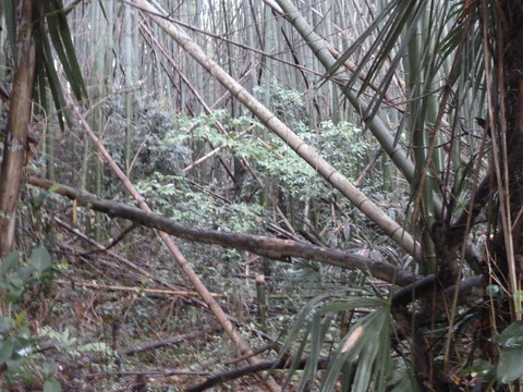 P1050754