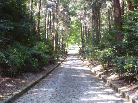 P1050525