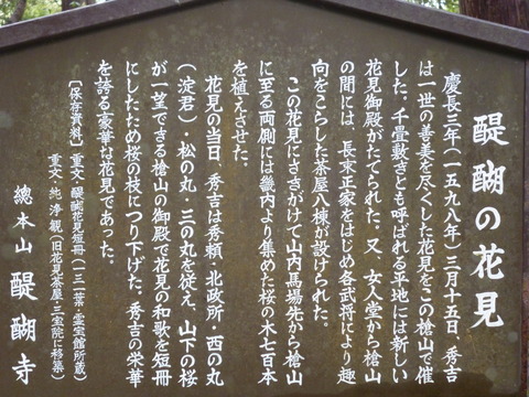 P1050719