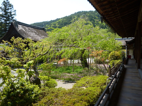P1050501