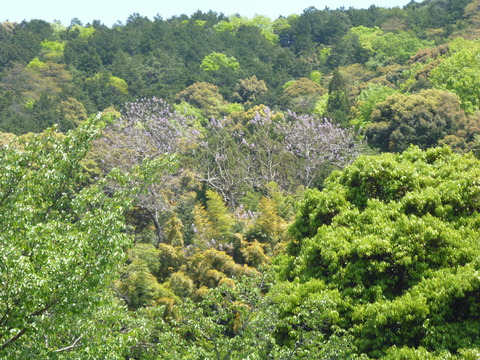 P1050488