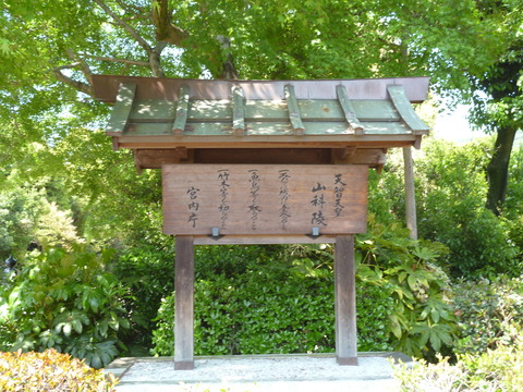 P1050522