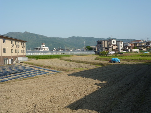 P1050552