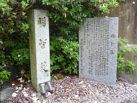 P1050753