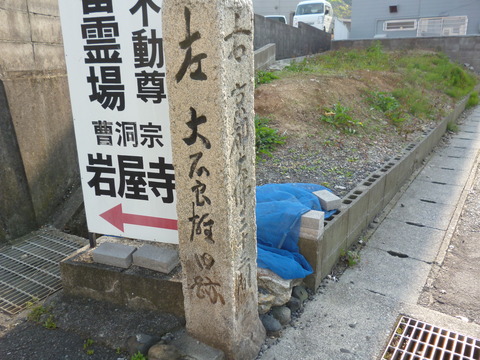 P1050551