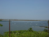 maine1