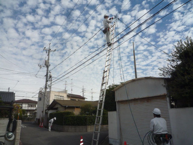 P1010169
