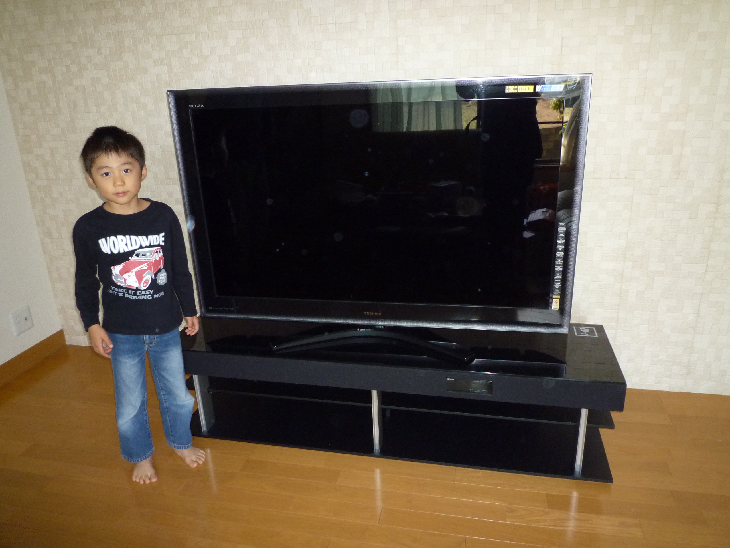 55インチ地デジ液晶テレビTOSHIBA REGZA 55インチ地デジ液晶テレビTOSHIBA REGZA