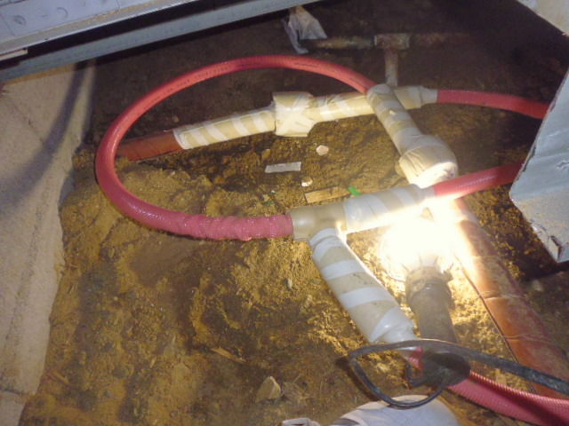 q1