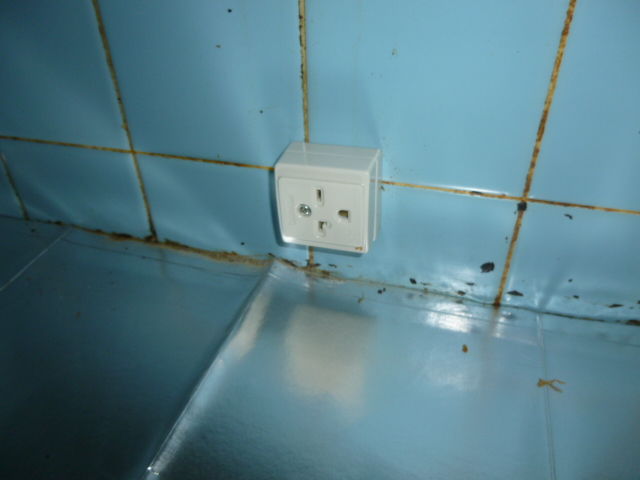 P1000993