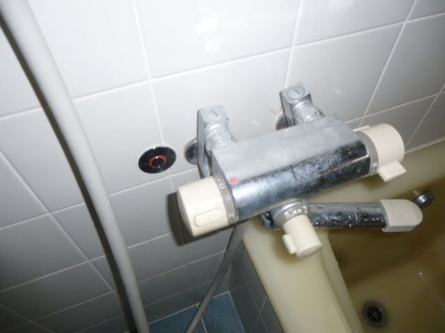 P1050004