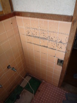 P1000560
