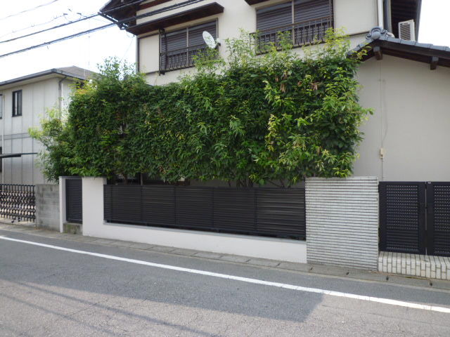 P1020658