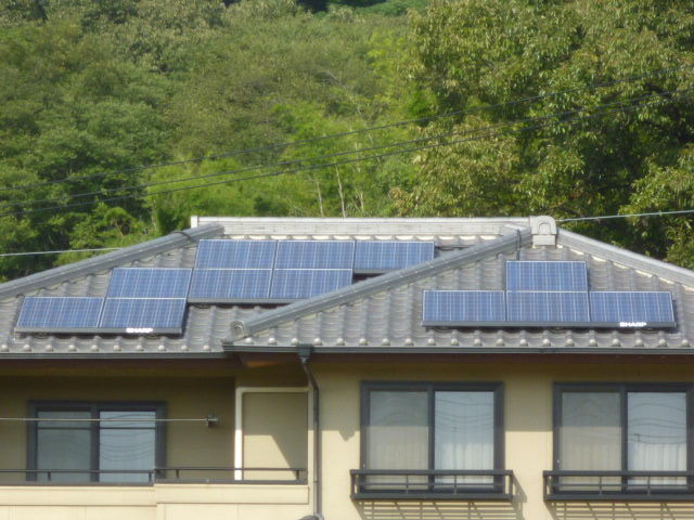 P1100044