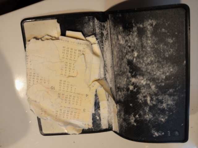 P1110267