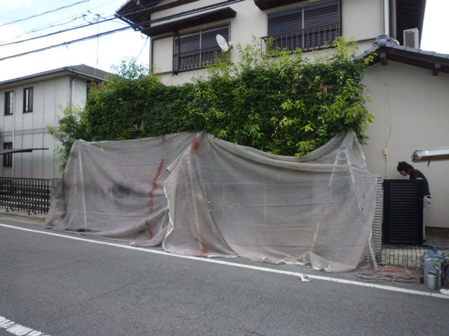 P1020658