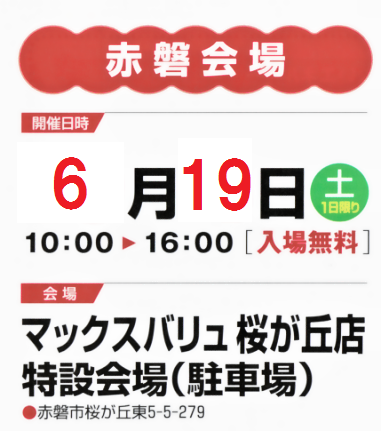 100619