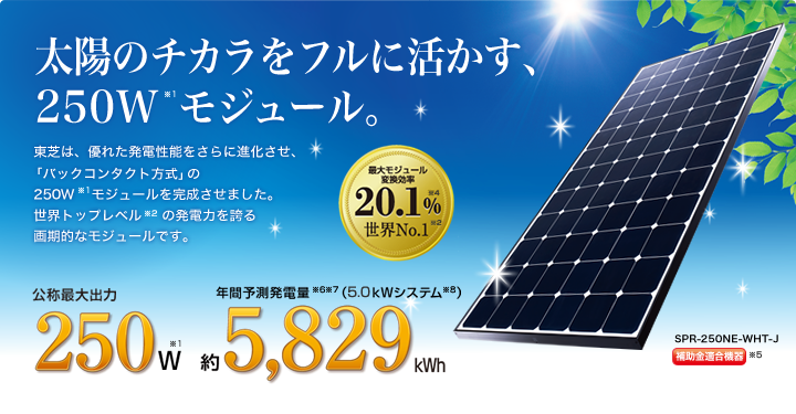 main_250w_img