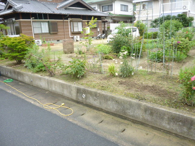 P1040994