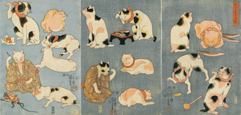 neko