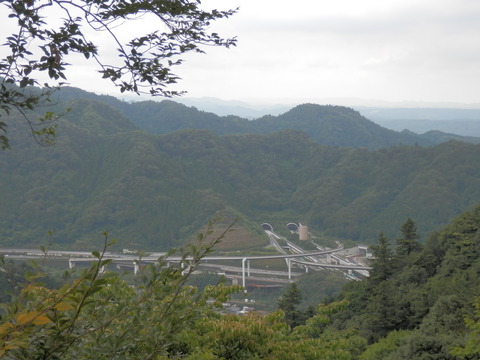 P8040110