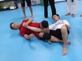 hiza-juji-gatame-20161223